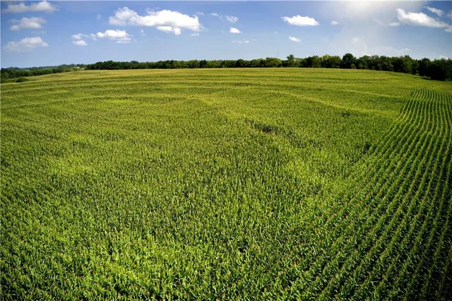 $1,056,000 | State Route, Hamilton, MO 64644