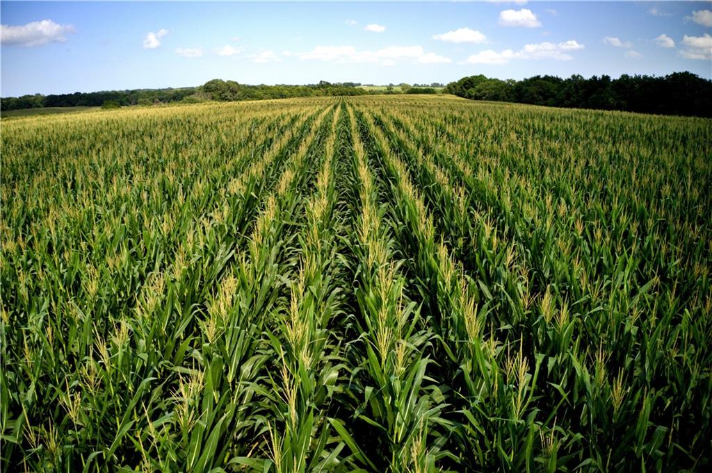 State Route Hamilton, MO 64644 - Photo 5 of 42