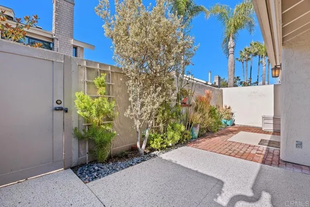 a view of a backyard with plants