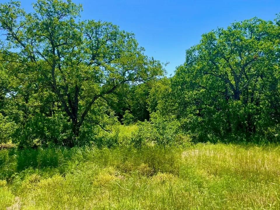 Lot 40 Kilkenny Road Poolville, TX 76487 - Photo 3 of 3 View of nature