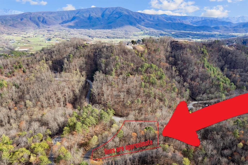 1 Lone Ridge Drive Sevierville, TN 37862 - Photo 3 of 13 Gallery Image 3