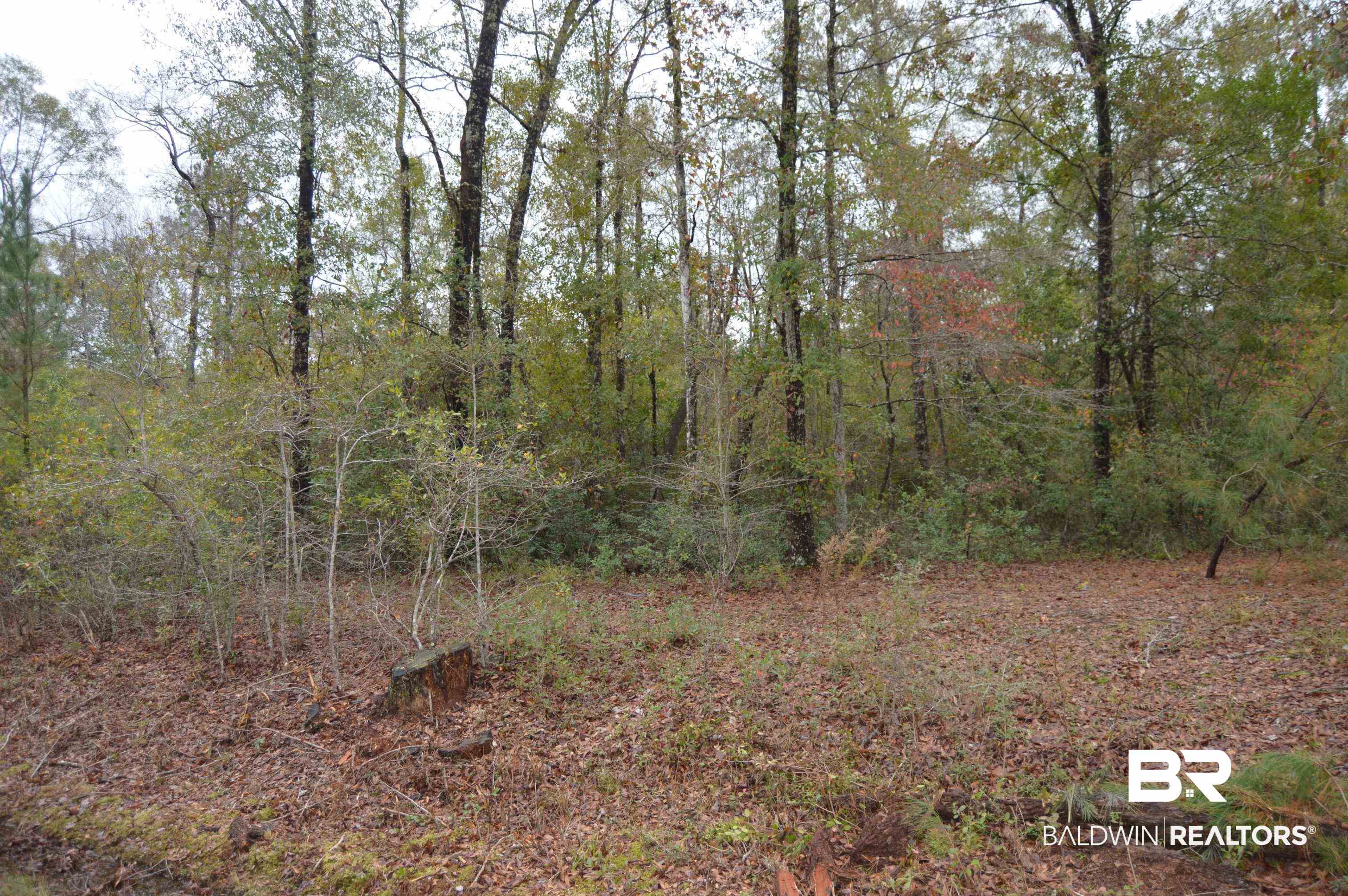 14 Marlin Street Stockton, AL 36579 - Photo 21 of 23 View of woods