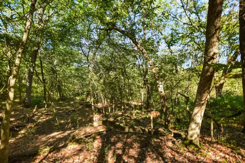 $625,000 | Lot 6 Dividing Ridge Road, Monticello, WI 53570