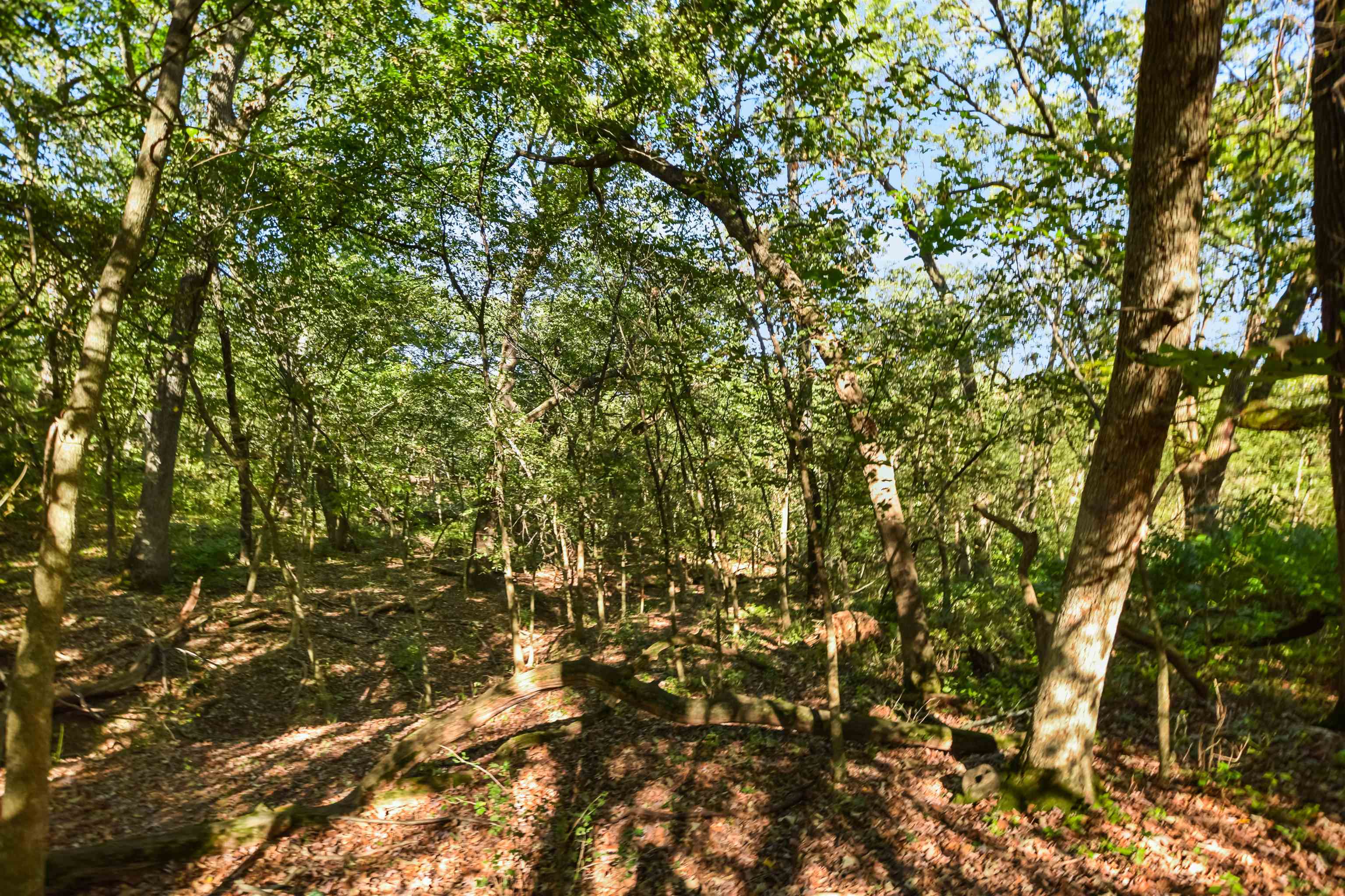 Lot 6 Dividing Ridge Monticello, WI 53570 - Photo 12 of 14