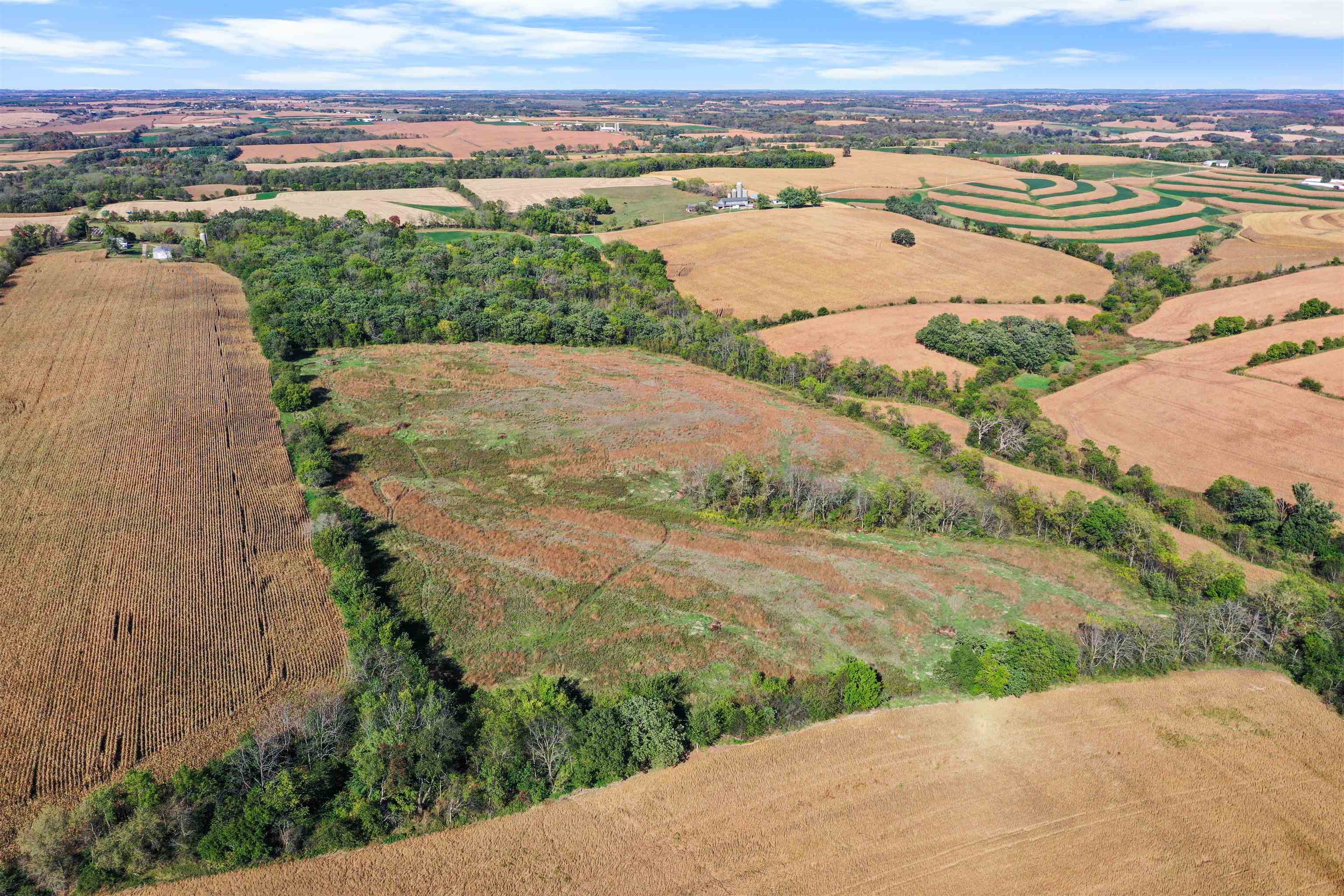 Lot 6 Dividing Ridge Monticello, WI 53570 - Photo 5 of 14