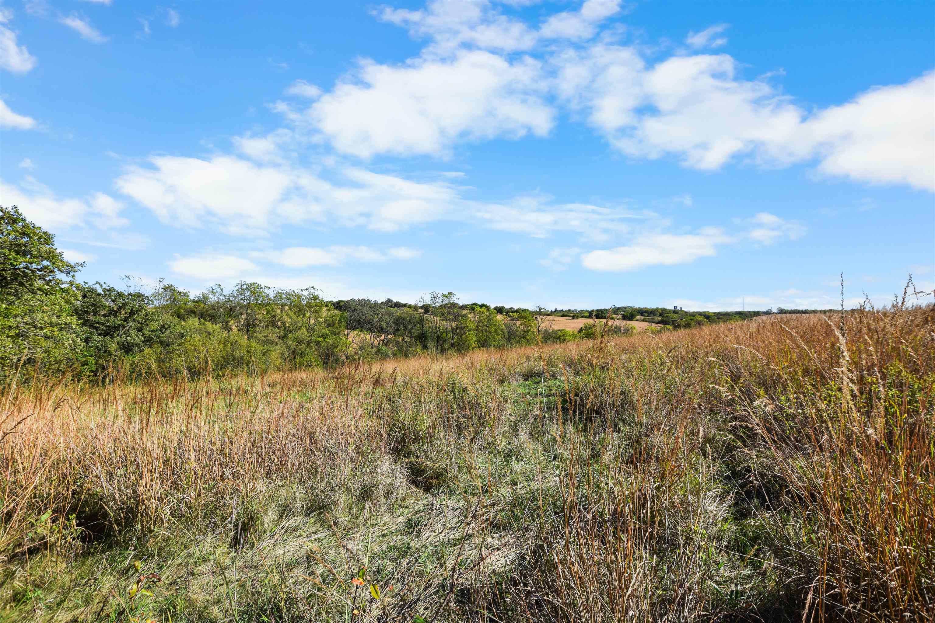 Lot 6 Dividing Ridge Monticello, WI 53570 - Photo 9 of 14