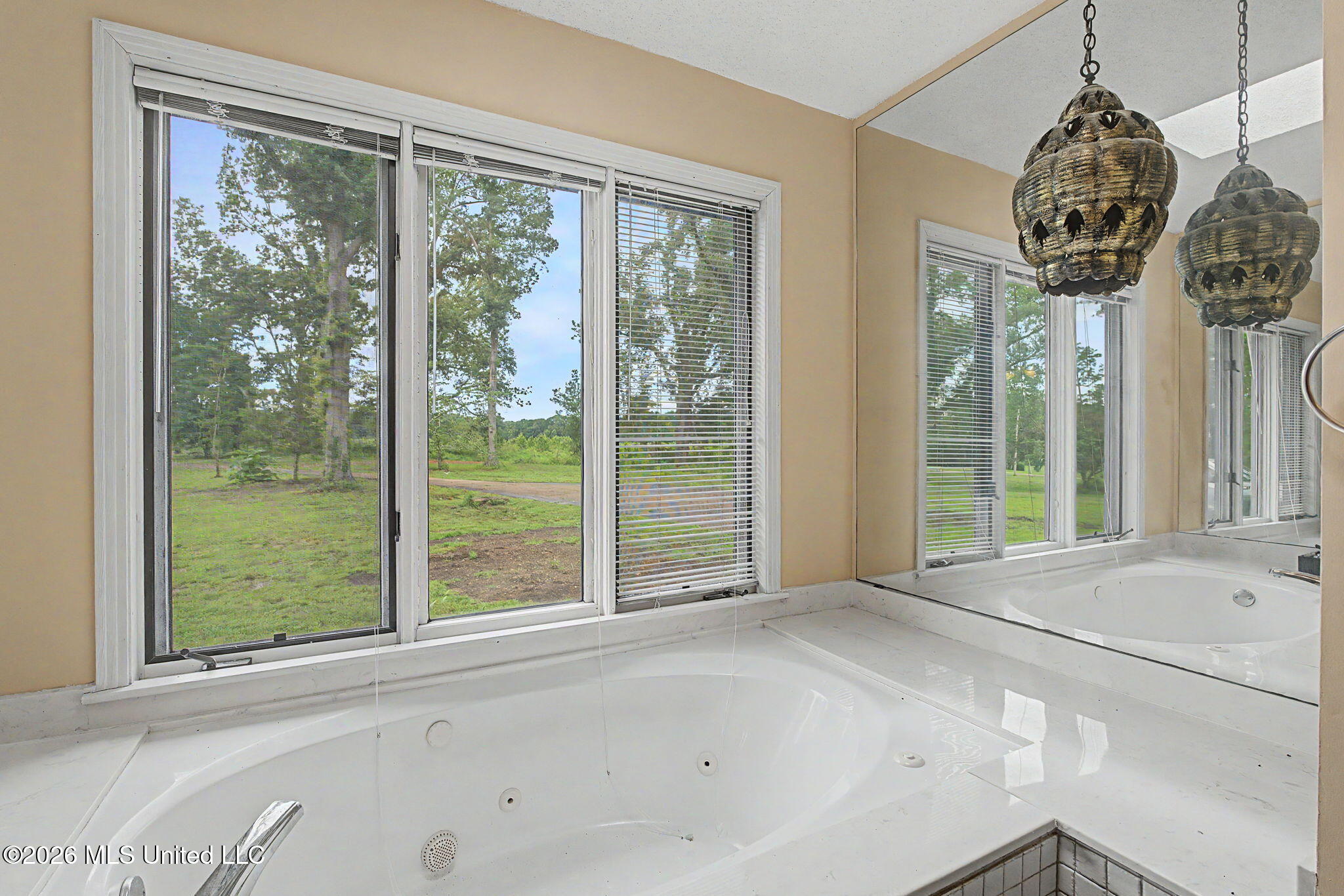 448 Oakley Road Senatobia, MS 38668 - Photo 26 of 61 Bath with a view!