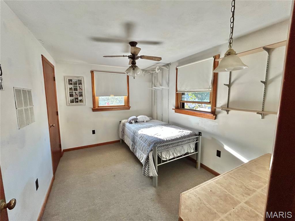 13 Graham Road Steelville, MO 65565 - Photo 36 of 66