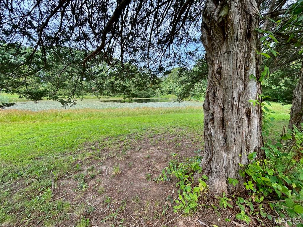 13 Graham Road Steelville, MO 65565 - Photo 42 of 66