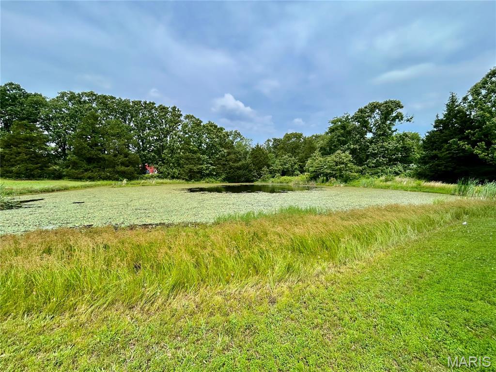 13 Graham Road Steelville, MO 65565 - Photo 43 of 66