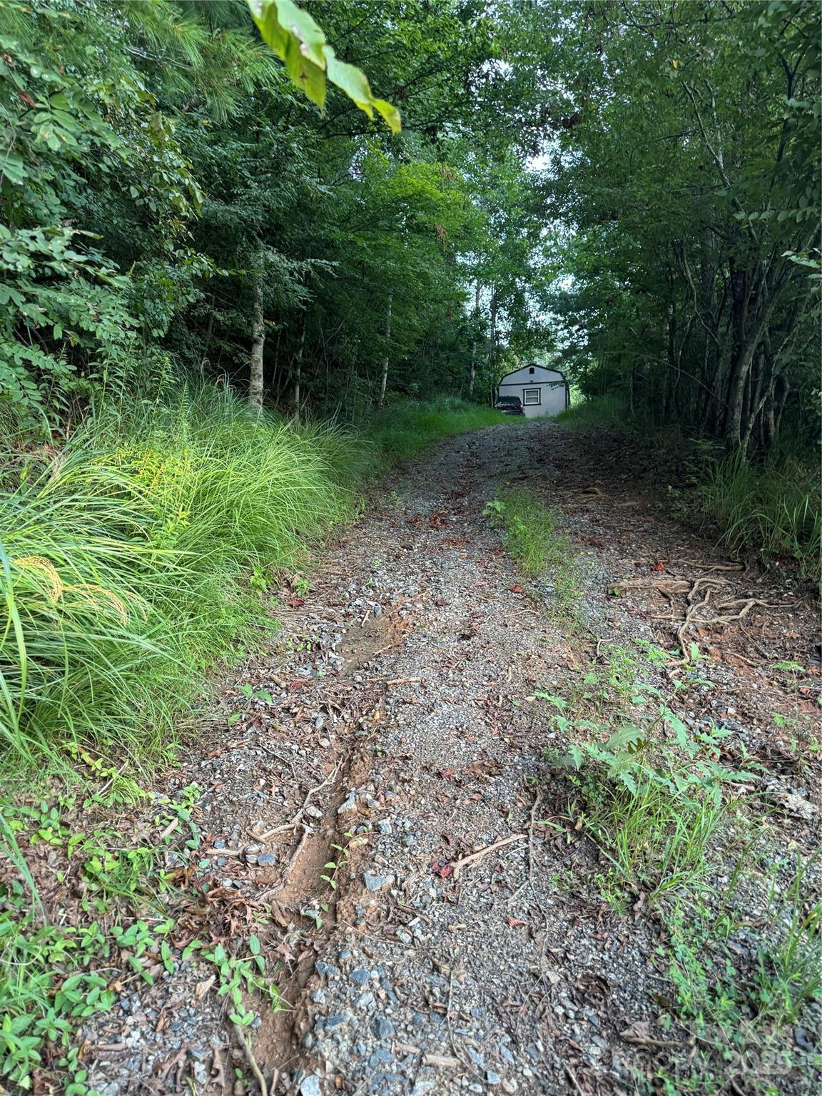 a view of outdoor space and green space