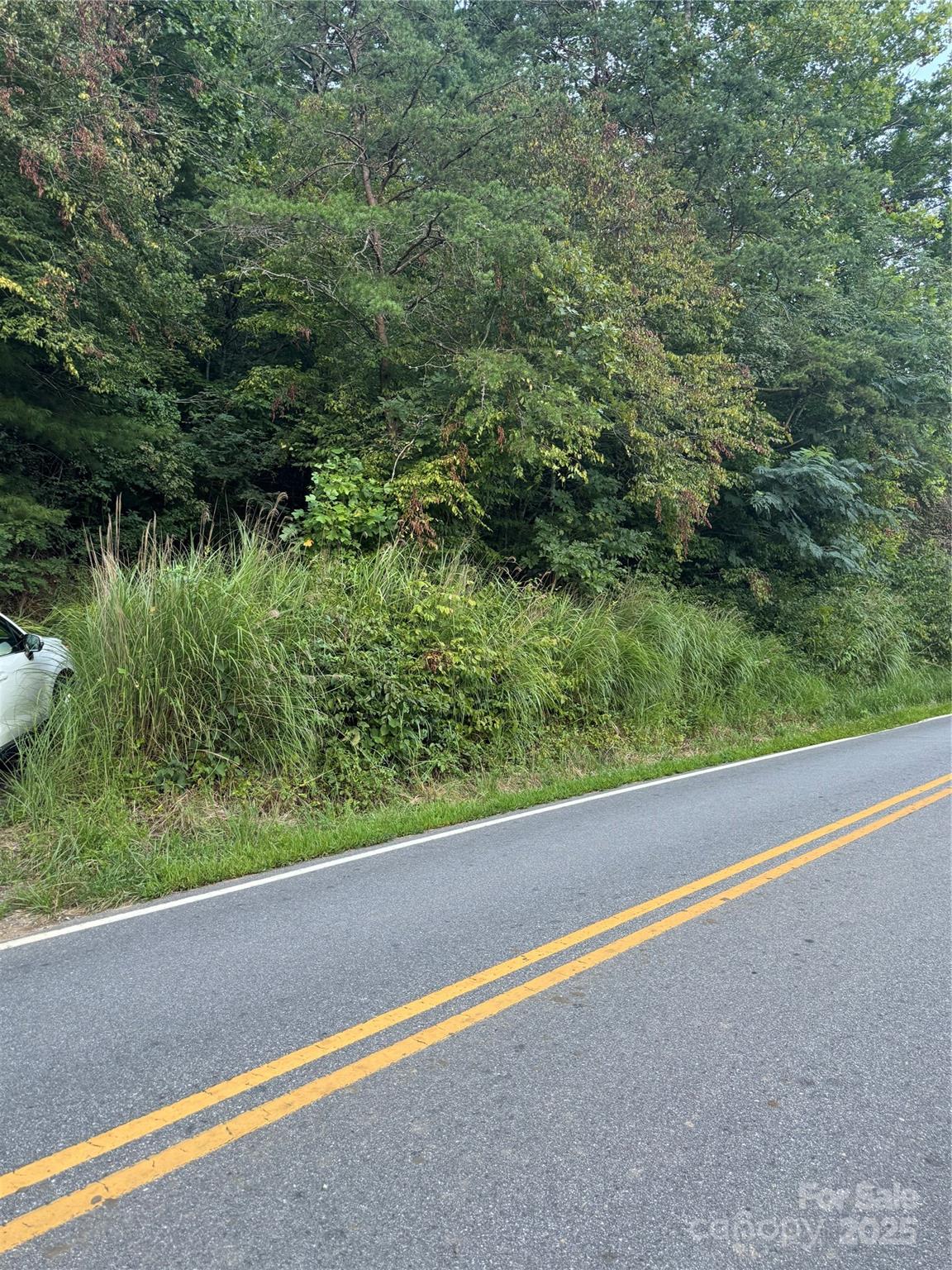 Tbd Grapevine Road Marshall, NC 28753 - Photo 2 of 27 a view of balcony with green space