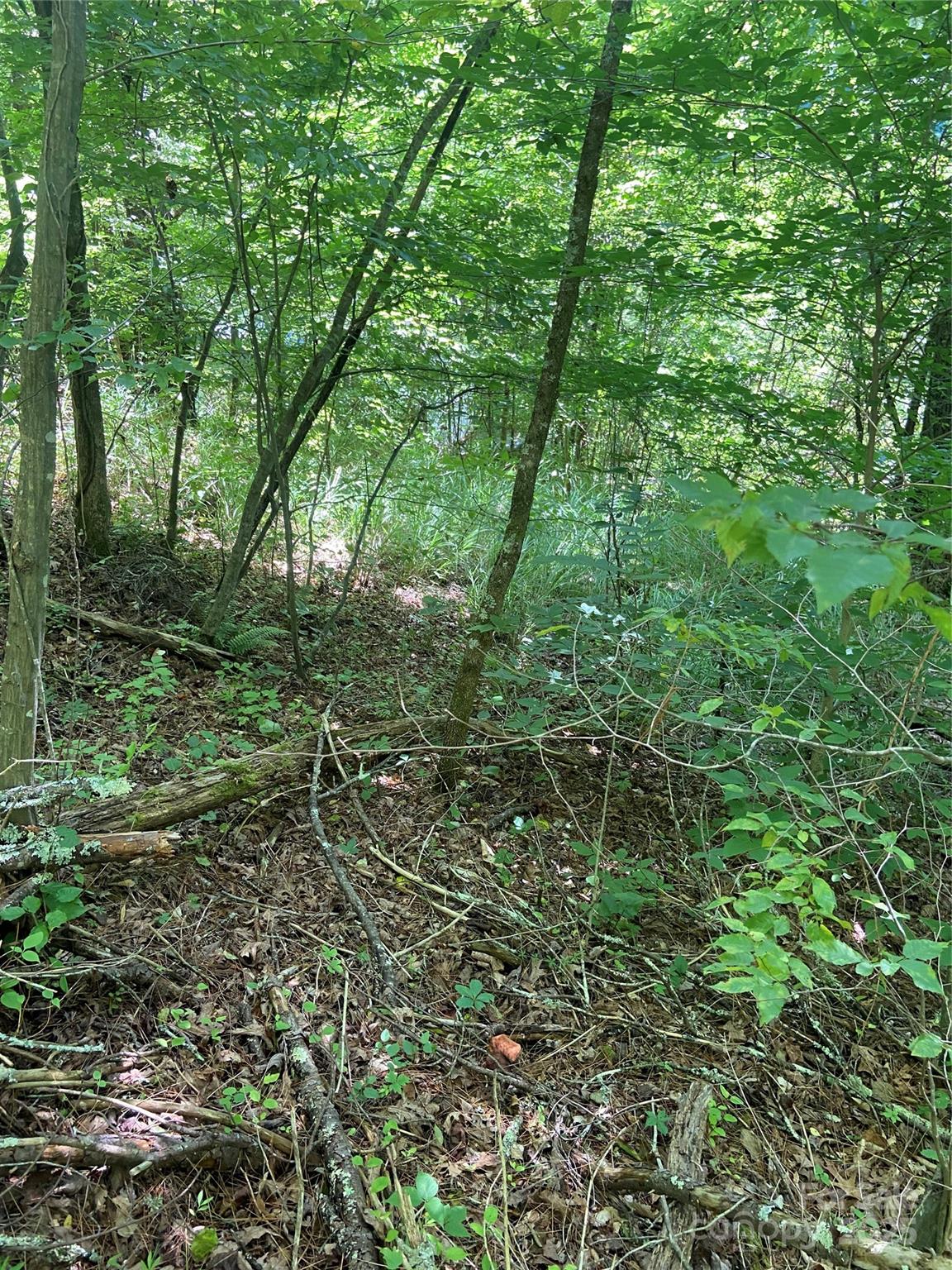 Tbd Grapevine Road Marshall, NC 28753 - Photo 22 of 27 a backyard of a house with lots of green space