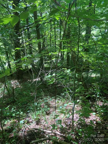 a backyard of a house with lots of trees