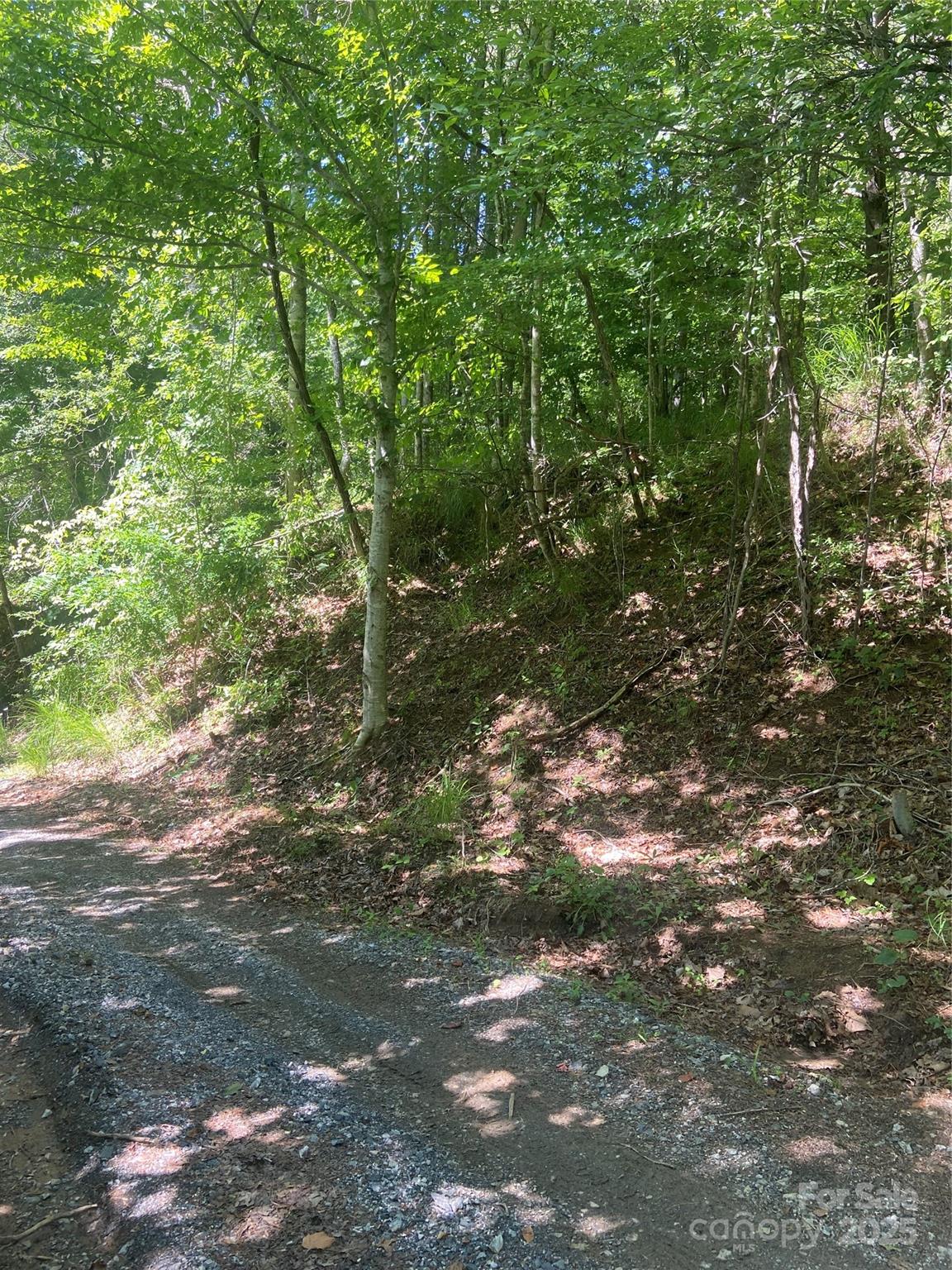 Tbd Grapevine Road Marshall, NC 28753 - Photo 27 of 27 a view of a tree