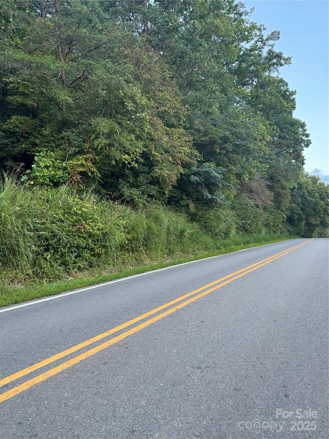 Tbd Grapevine Road Marshall, NC 28753 - Photo 3 of 27 a view of a green field with some trees