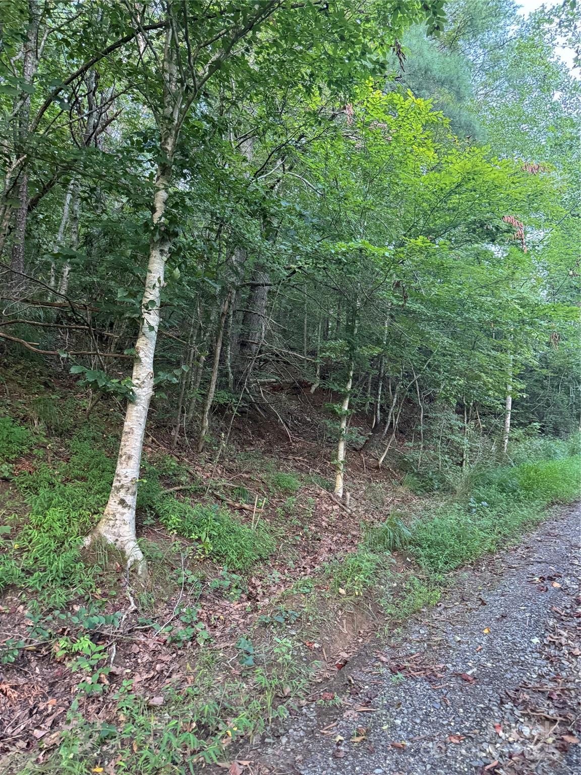Tbd Grapevine Road Marshall, NC 28753 - Photo 6 of 27 a backyard of a house with lots of green space