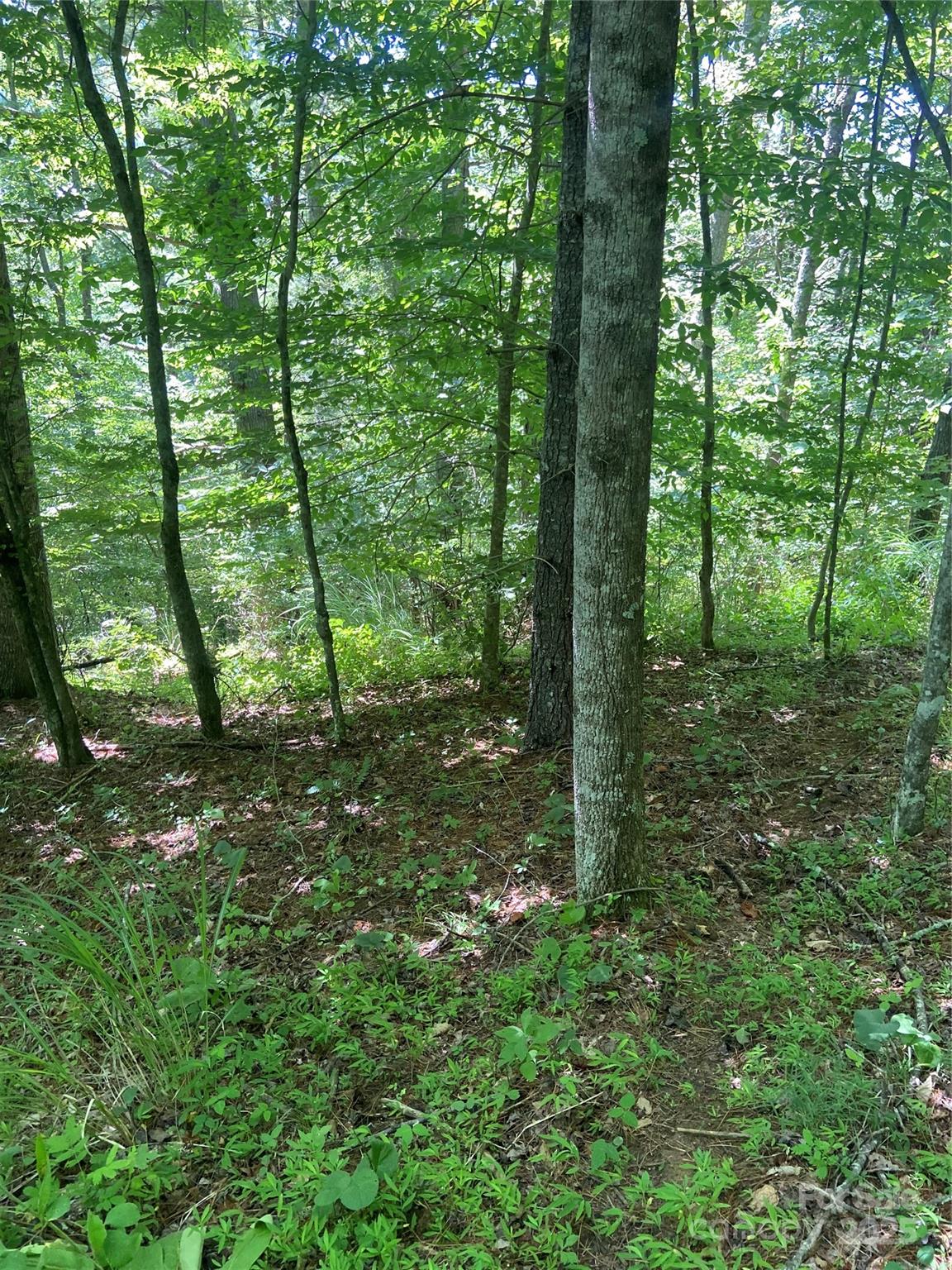 Tbd Grapevine Road Marshall, NC 28753 - Photo 10 of 27 a view of outdoor space and green space