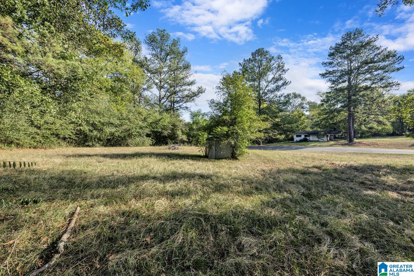 25 Ricetown Road Hayden, AL 35079 - Photo 5 of 12