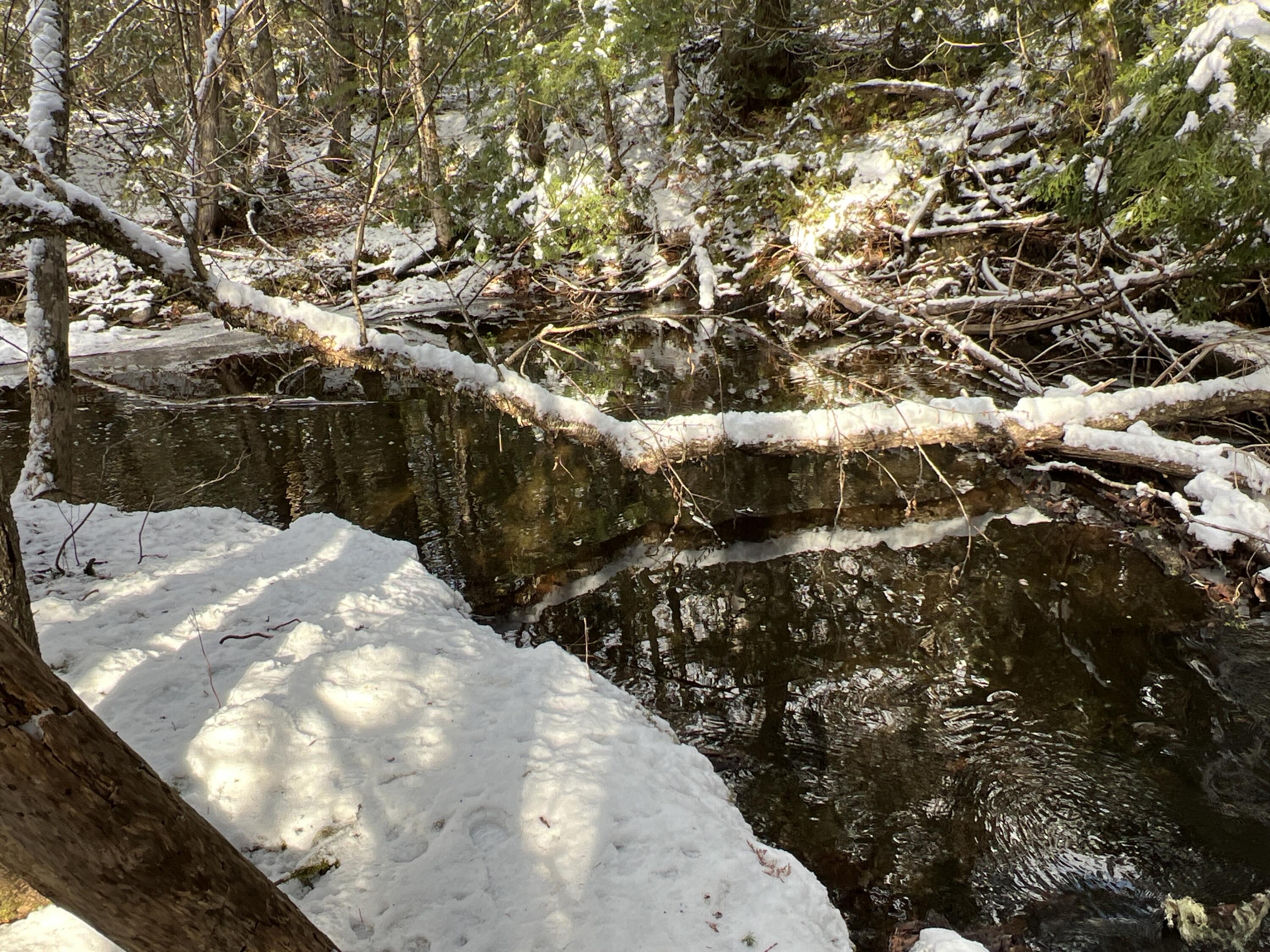 17 Waters Road Patten, ME 04765 - Photo 20 of 31 IMG_2783