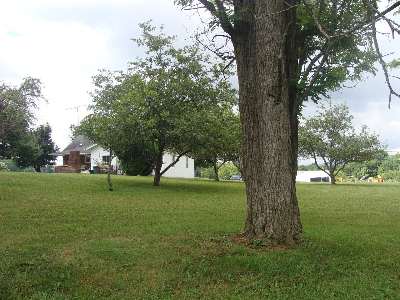 7005 Beech Run Road Nimitz, WV 25978 - Photo 13 of 72 Gallery Image 13