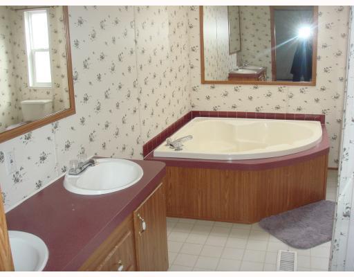 541 Liberty Street Perryopolis, PA 15473 - Photo 10 of 15 Master Bath/Spa.