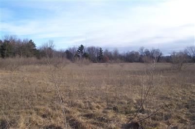 1140 North Whitehall Road Muskegon, MI 49445 - Photo 5 of 5 Additional Photo