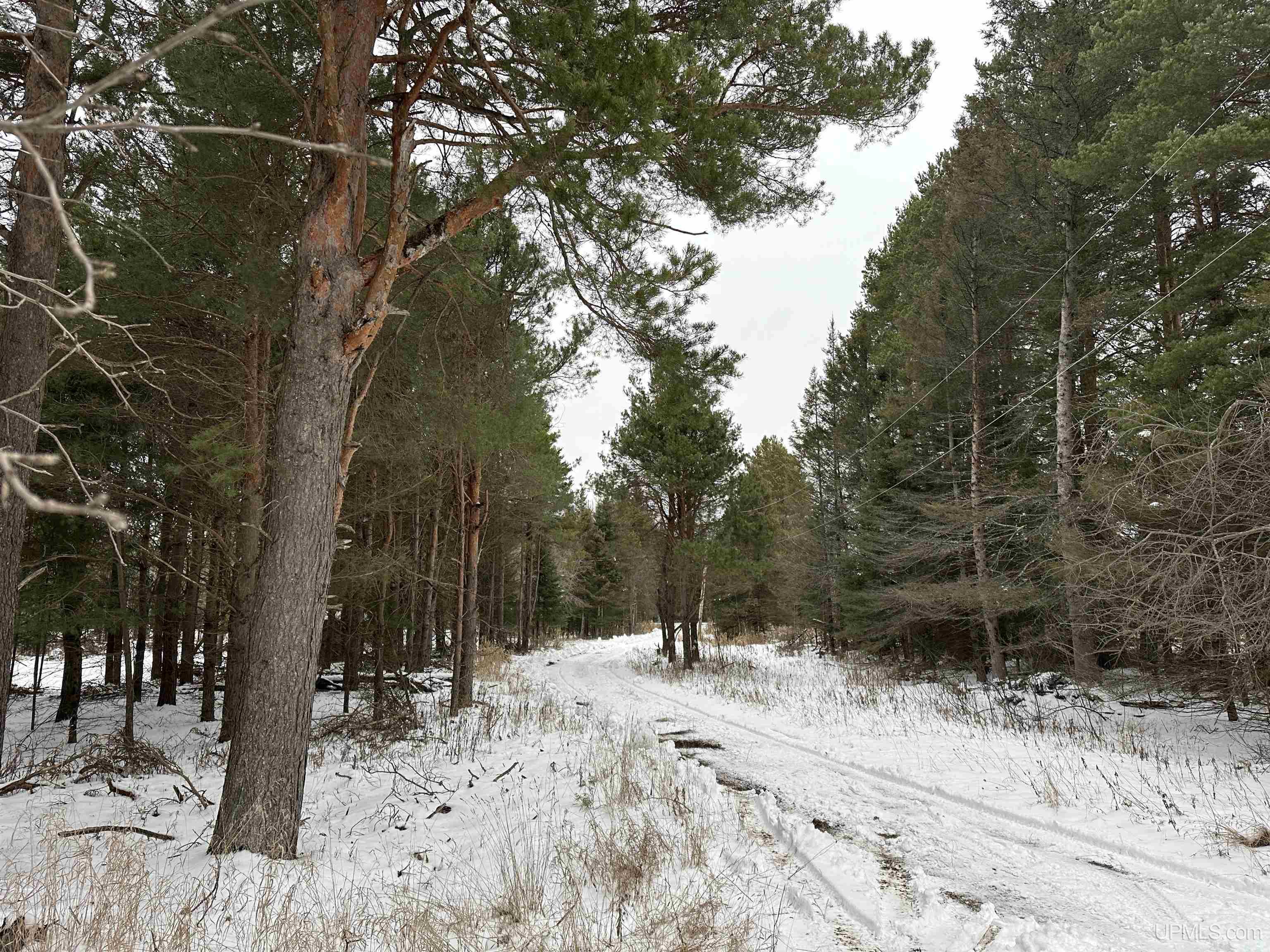 Tbd West Maple Ridge 37 Road Rock, MI 49880 - Photo 3 of 31