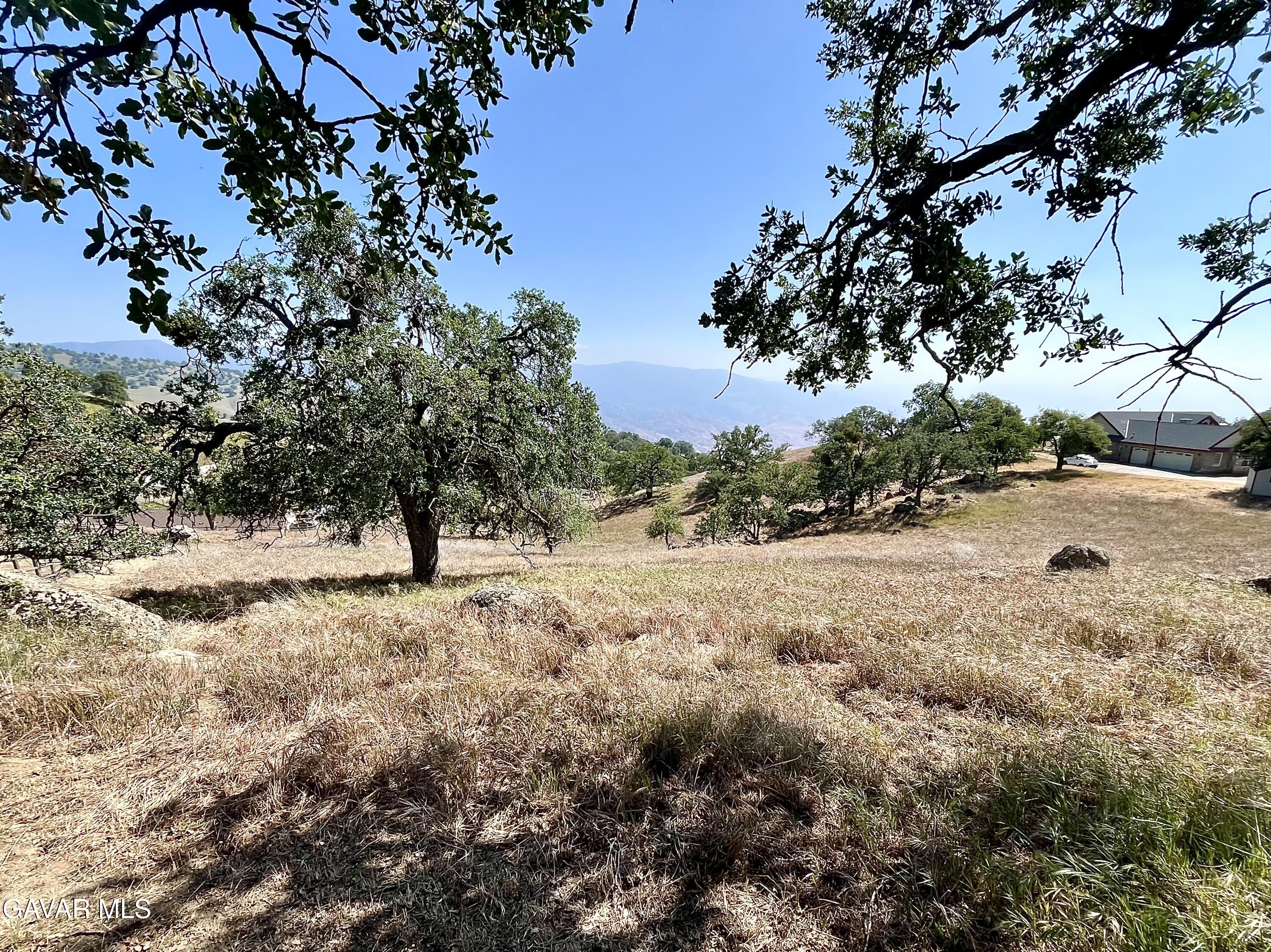 Horsethief Drive Tehachapi, CA 93561 - Photo 3 of 9 a view of a yard with a tree