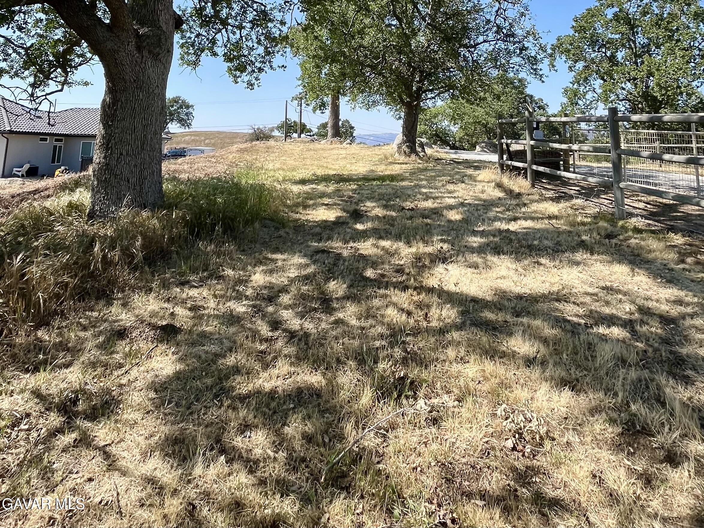 Horsethief Drive Tehachapi, CA 93561 - Photo 6 of 9 a view of backyard with tree