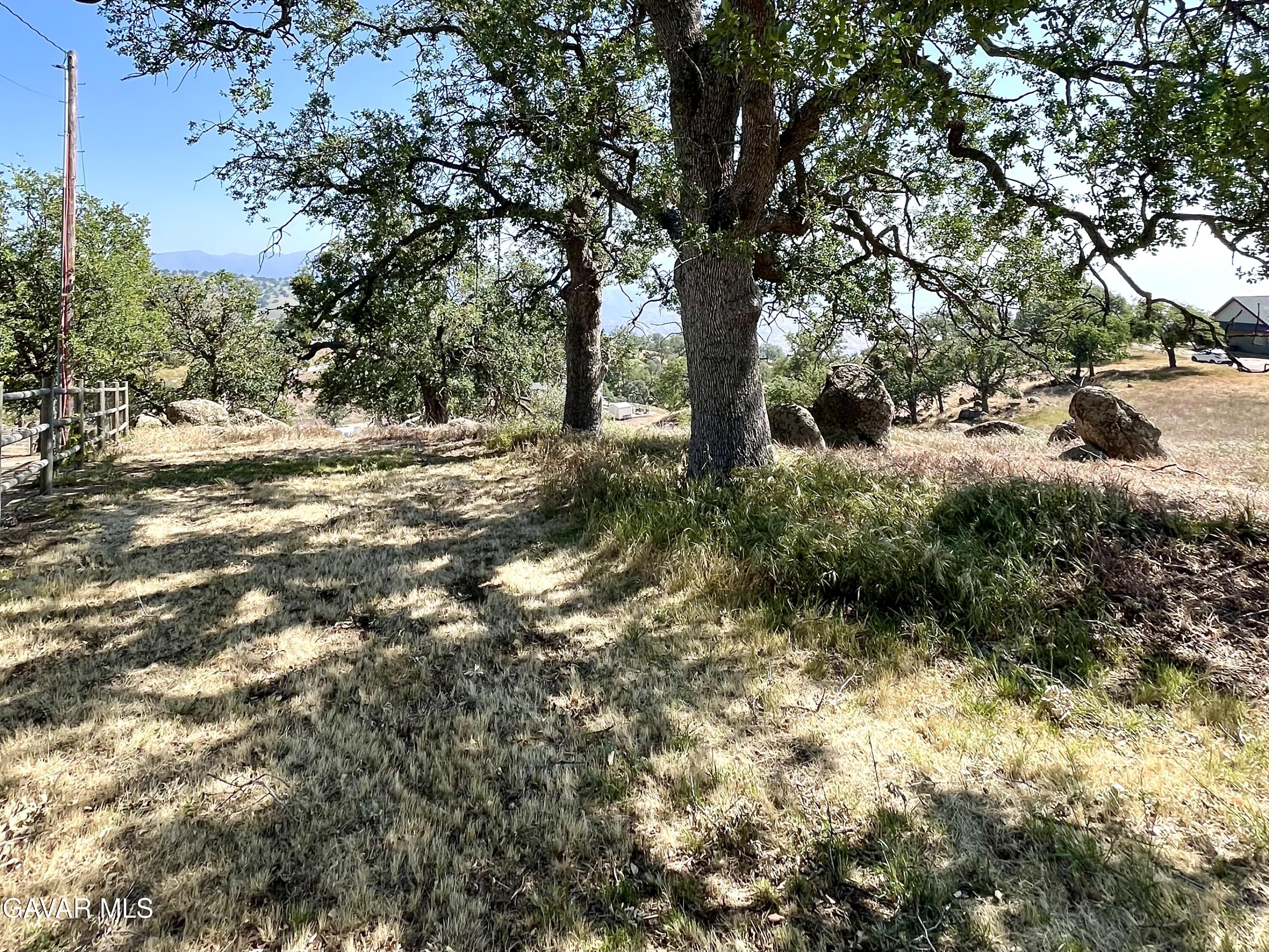 Horsethief Drive Tehachapi, CA 93561 - Photo 7 of 9 a view of a trees with a yard