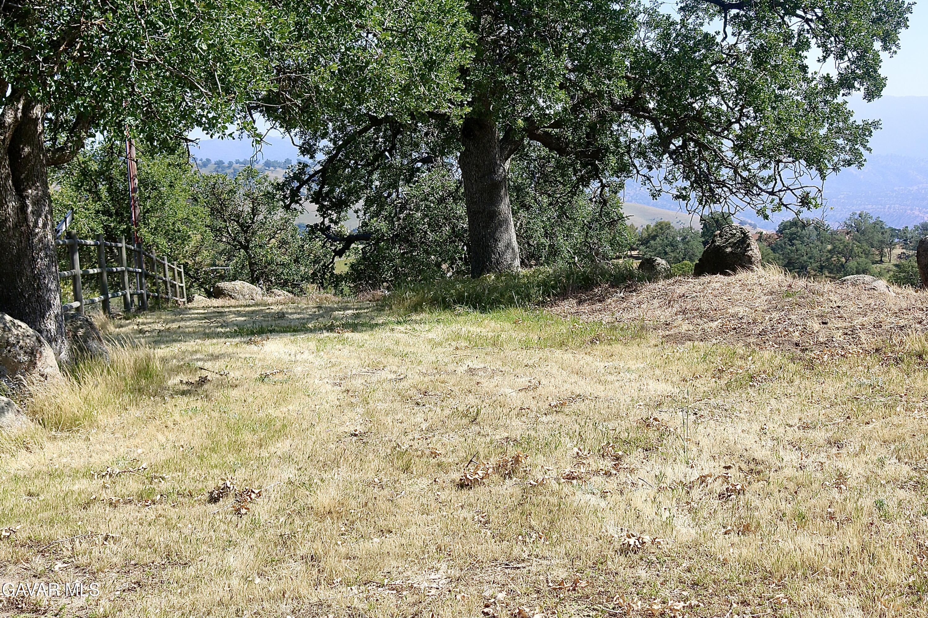 Horsethief Drive Tehachapi, CA 93561 - Photo 8 of 9 a view of a yard with a tree