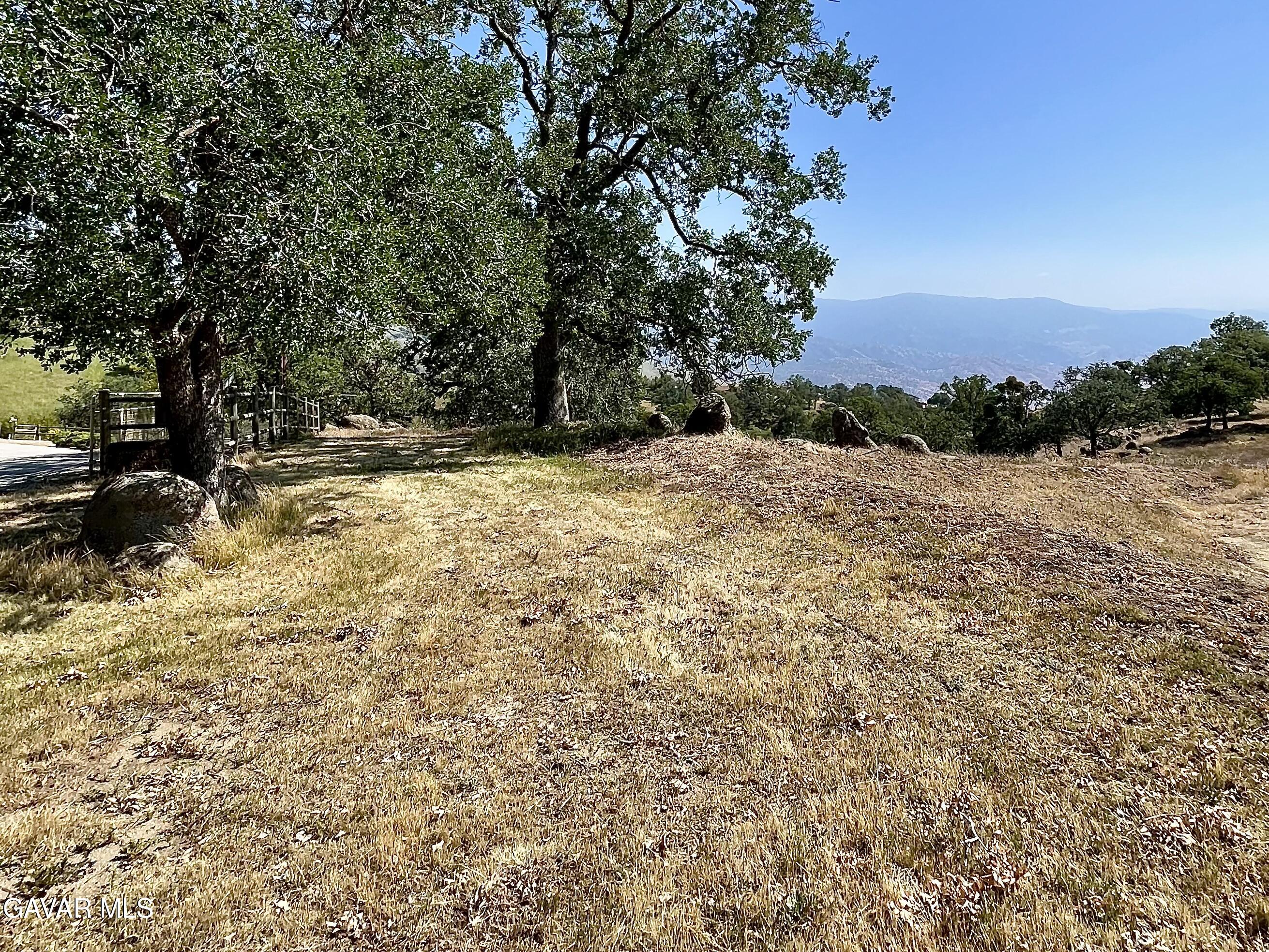 Horsethief Drive Tehachapi, CA 93561 - Photo 9 of 9 a view of a yard with a tree
