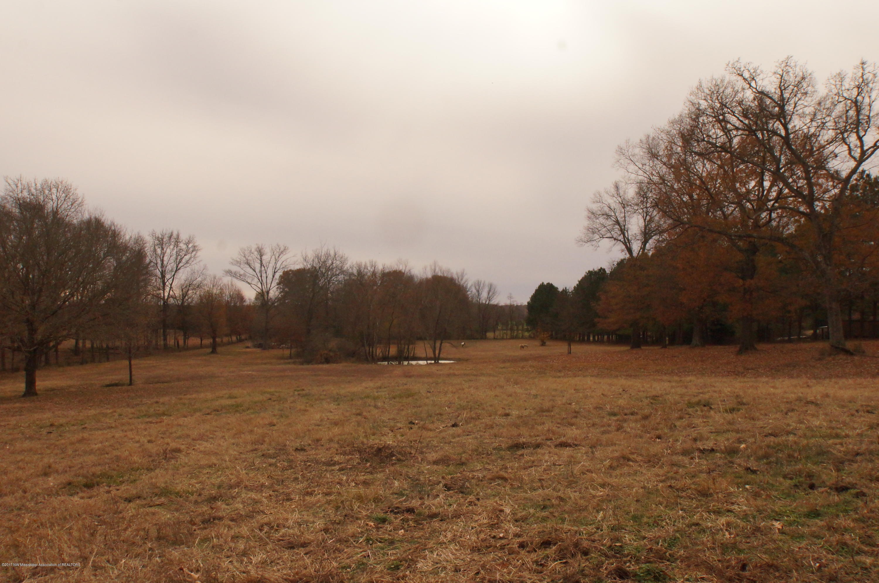 1735 Nesbit Road Nesbit, MS 38651 - Photo 47 of 56 1735 Nesbit Road 209