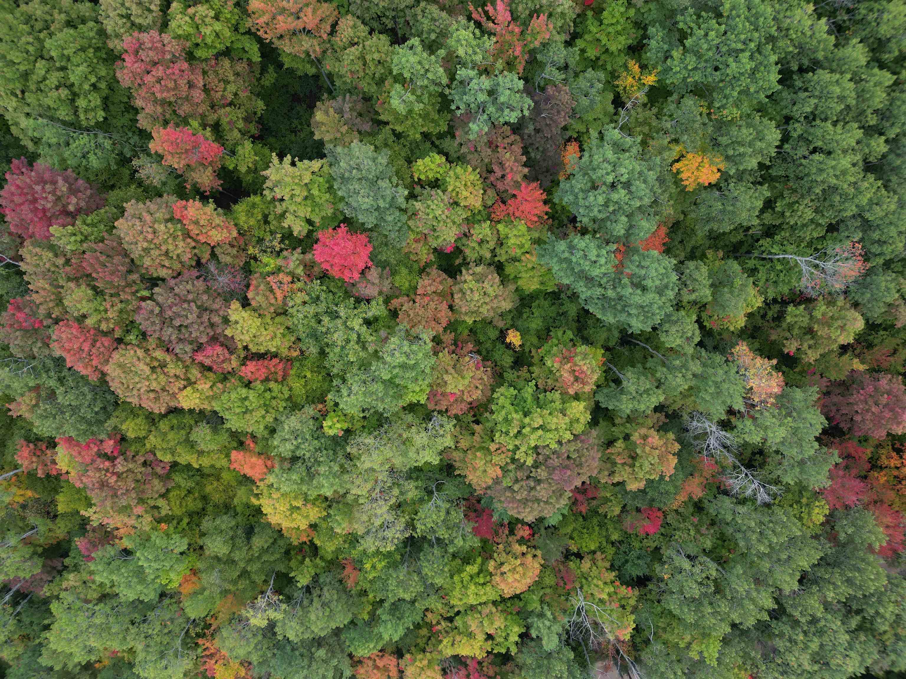 Tbd Hoosier Valley Road Traverse City, MI 49685 - Photo 13 of 20 Gallery Image 13