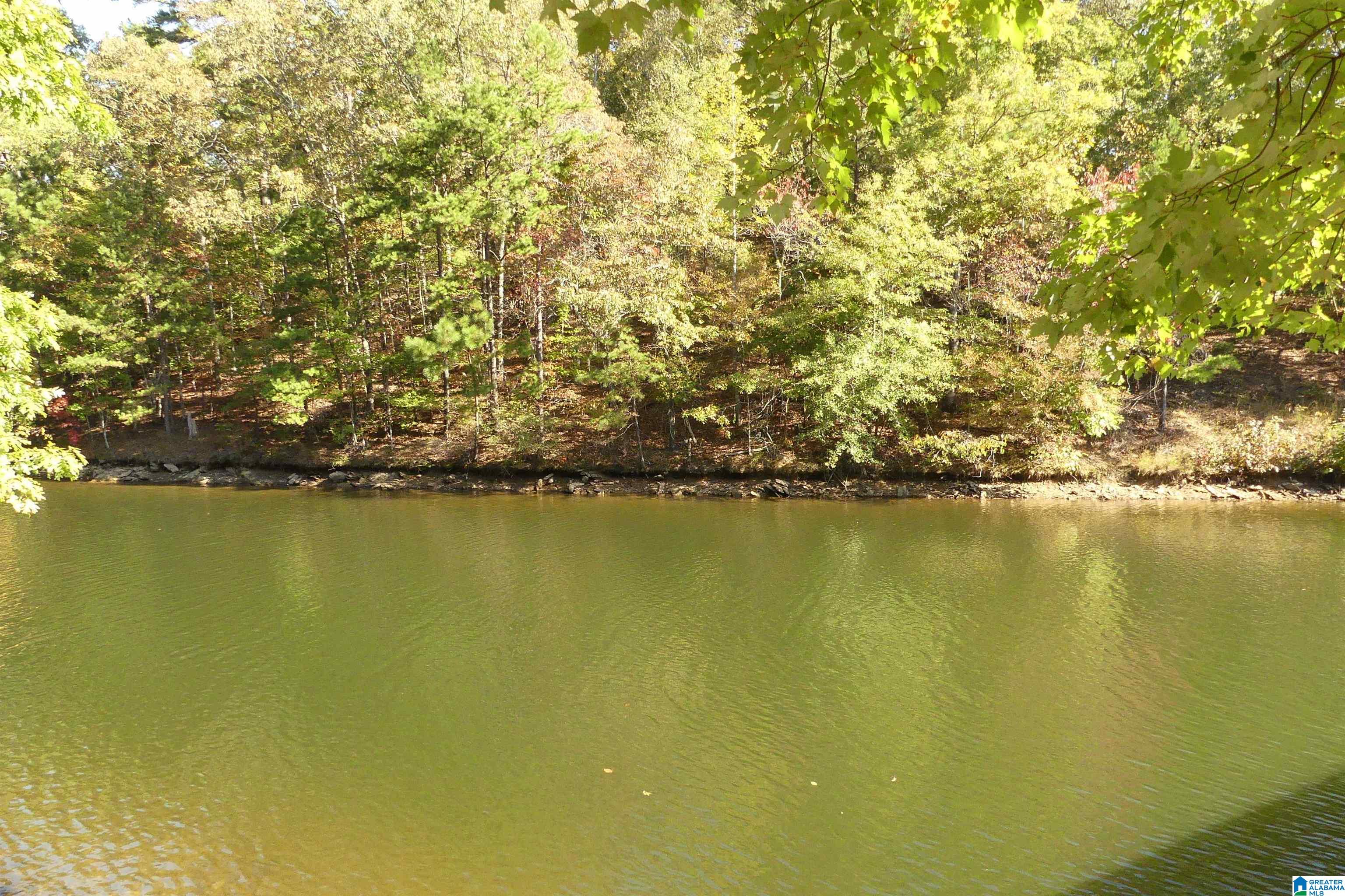 Lot 106 River Birch Road, Unit 106 Heflin, AL 36264 - Photo 5 of 8