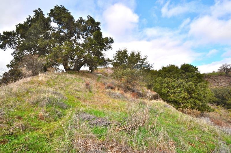 0 Mt Eden Road Saratoga, CA 95070 - Photo 25 of 27