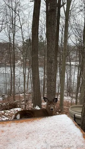 $389,000 | 112 Ambler Road, Bristol, CT 06010