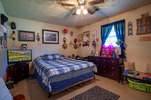231233 Rivers Edge Lane Sevierville, TN 37862 - Photo 37 of 39