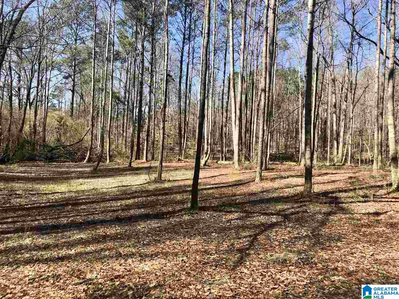 Campbell Street, Unit 1 Heflin, AL 36264 - Photo 6 of 15