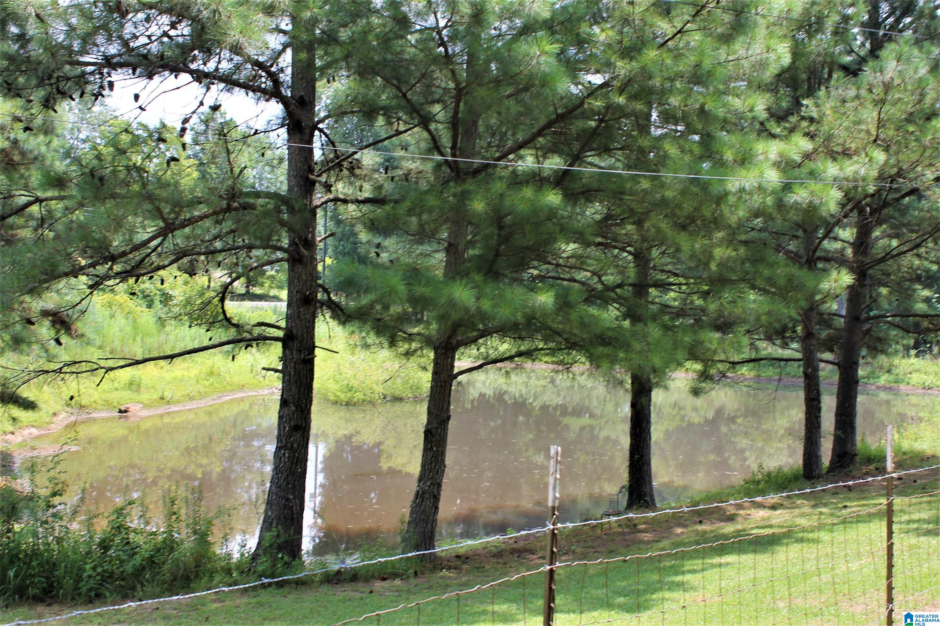 9446 Tingle Cutoff Road Dora, AL 35062 - Photo 1 of 43 Gallery Image 1