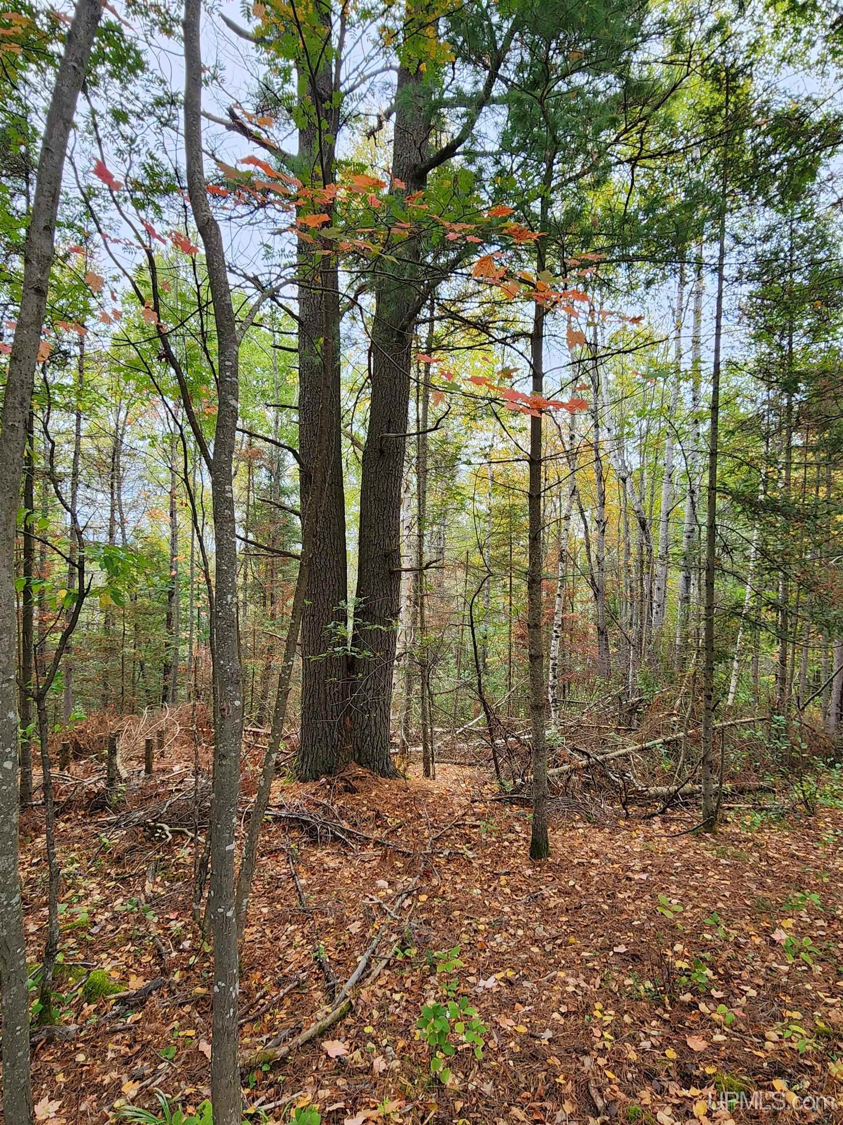1040 River Ridge Drive Ishpeming, MI 49849 - Photo 13 of 21 Gallery Image 13