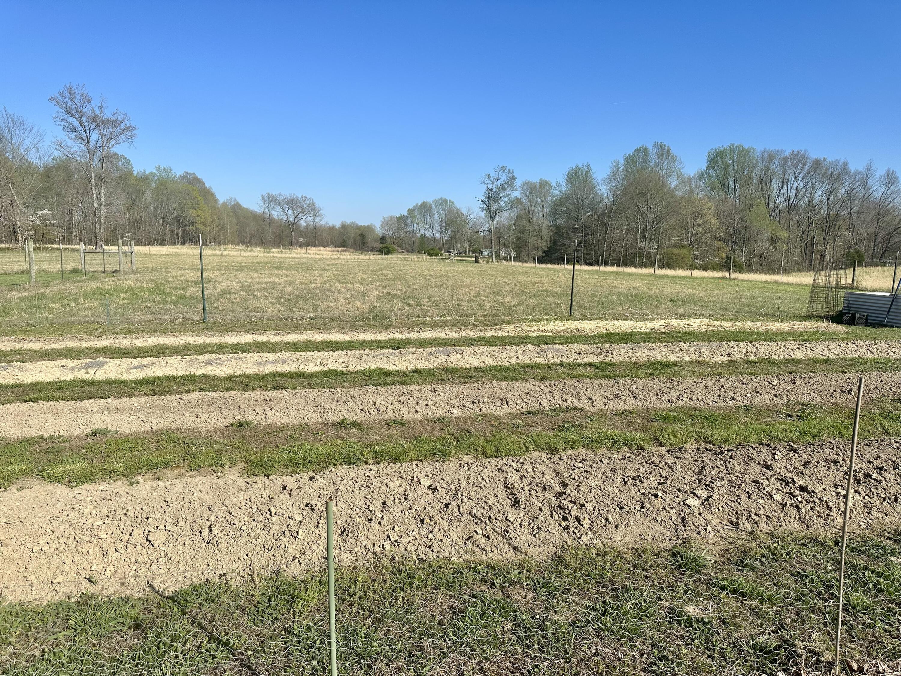 618 Bert Ridge Road Science Hill, KY 42553 - Photo 39 of 40 41517106-2809-4BB6-A186-2DD428867EA6