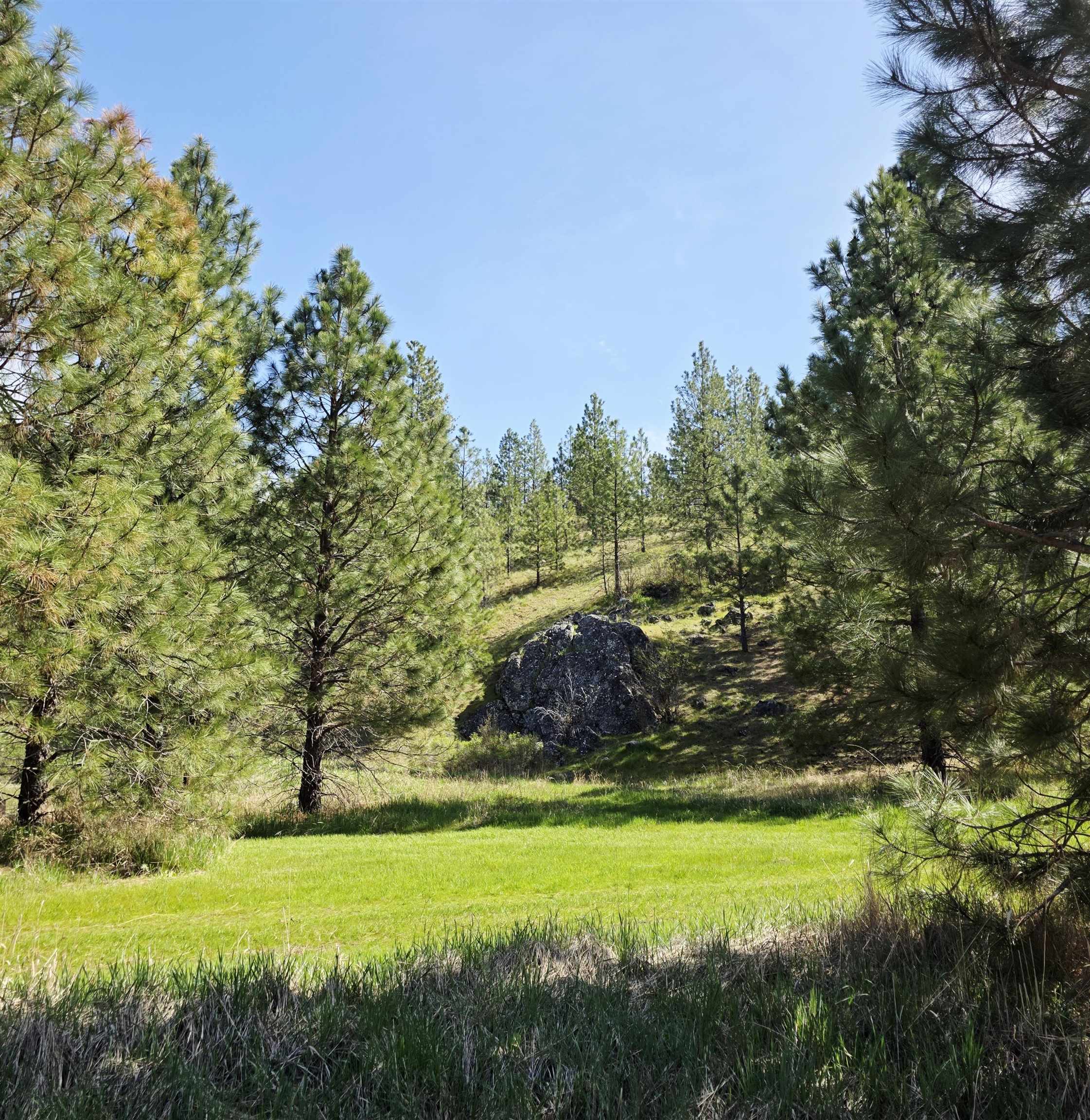 4417 D Highway 231 Springdale, WA 99173 - Photo 29 of 49