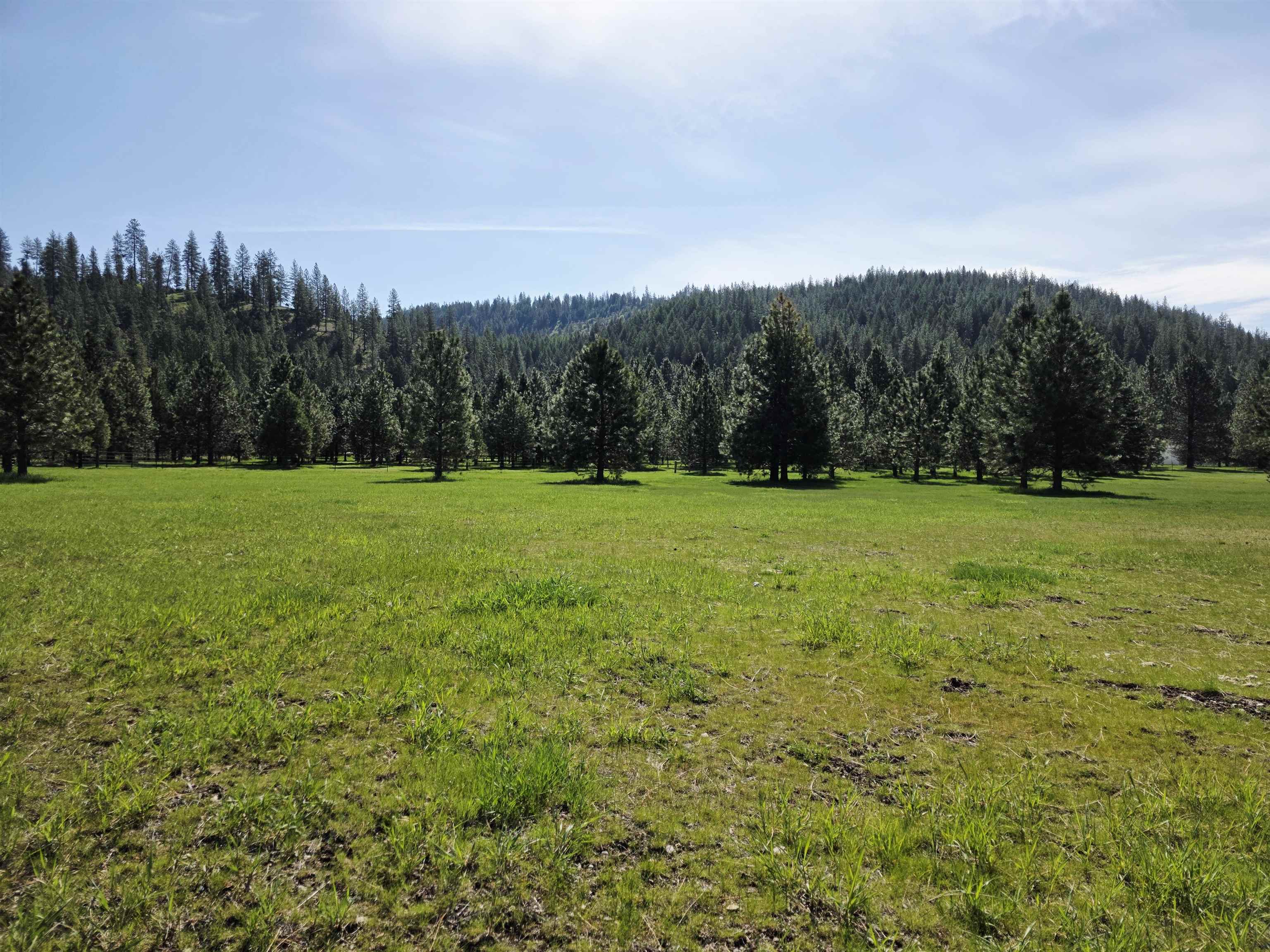 4417 D Highway 231 Springdale, WA 99173 - Photo 32 of 49