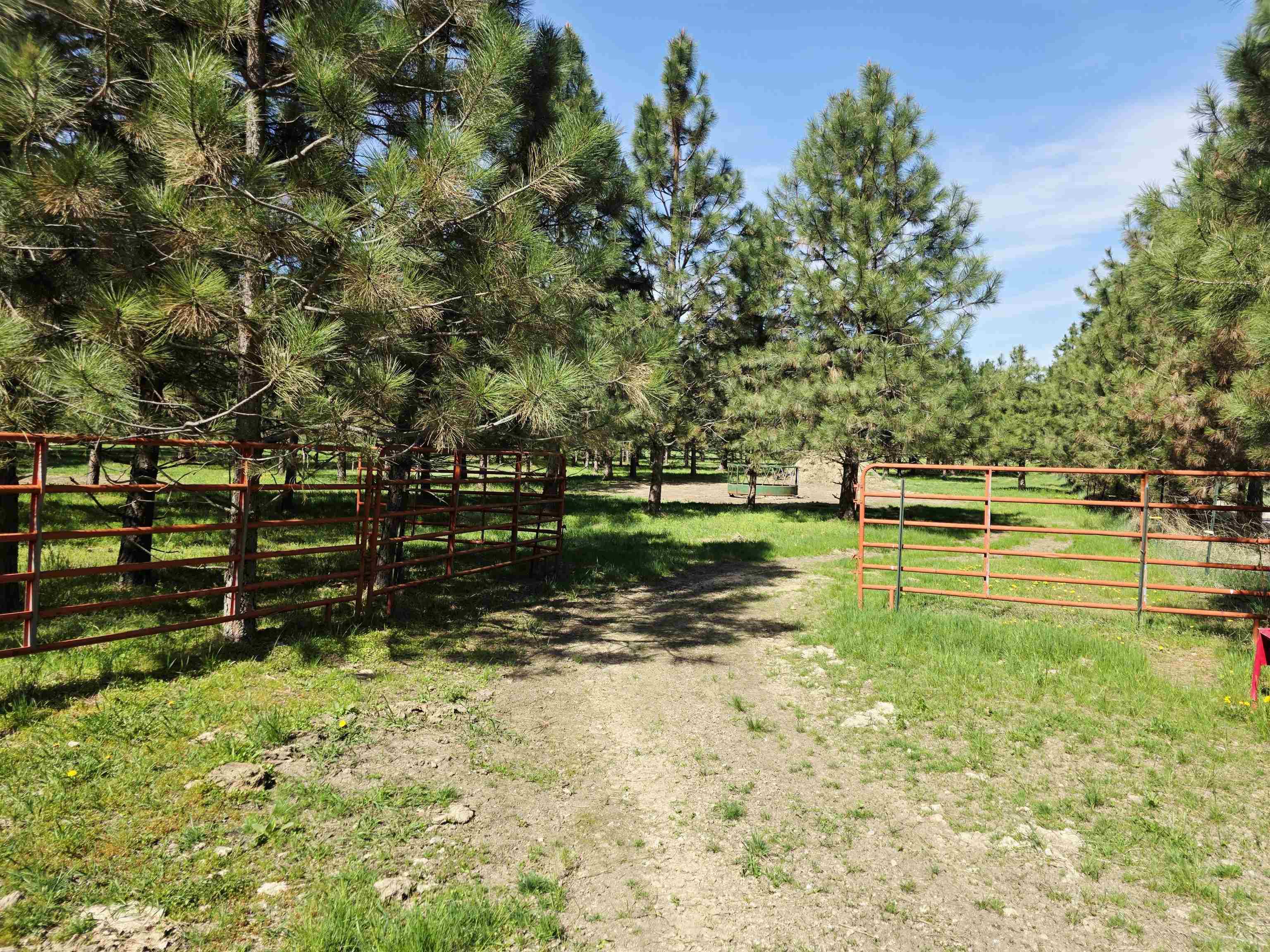 4417 D Highway 231 Springdale, WA 99173 - Photo 34 of 49