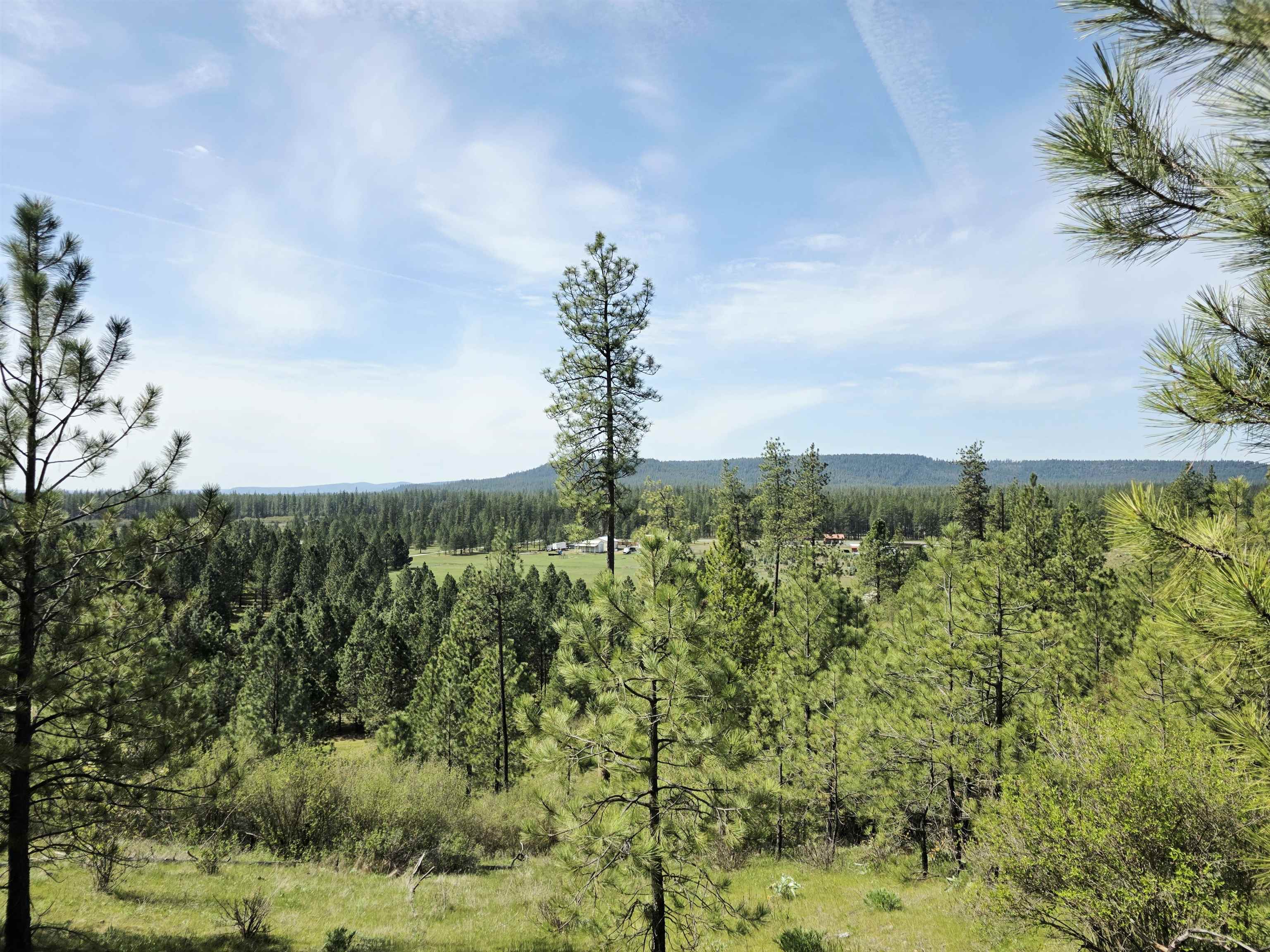 4417 D Highway 231 Springdale, WA 99173 - Photo 46 of 49
