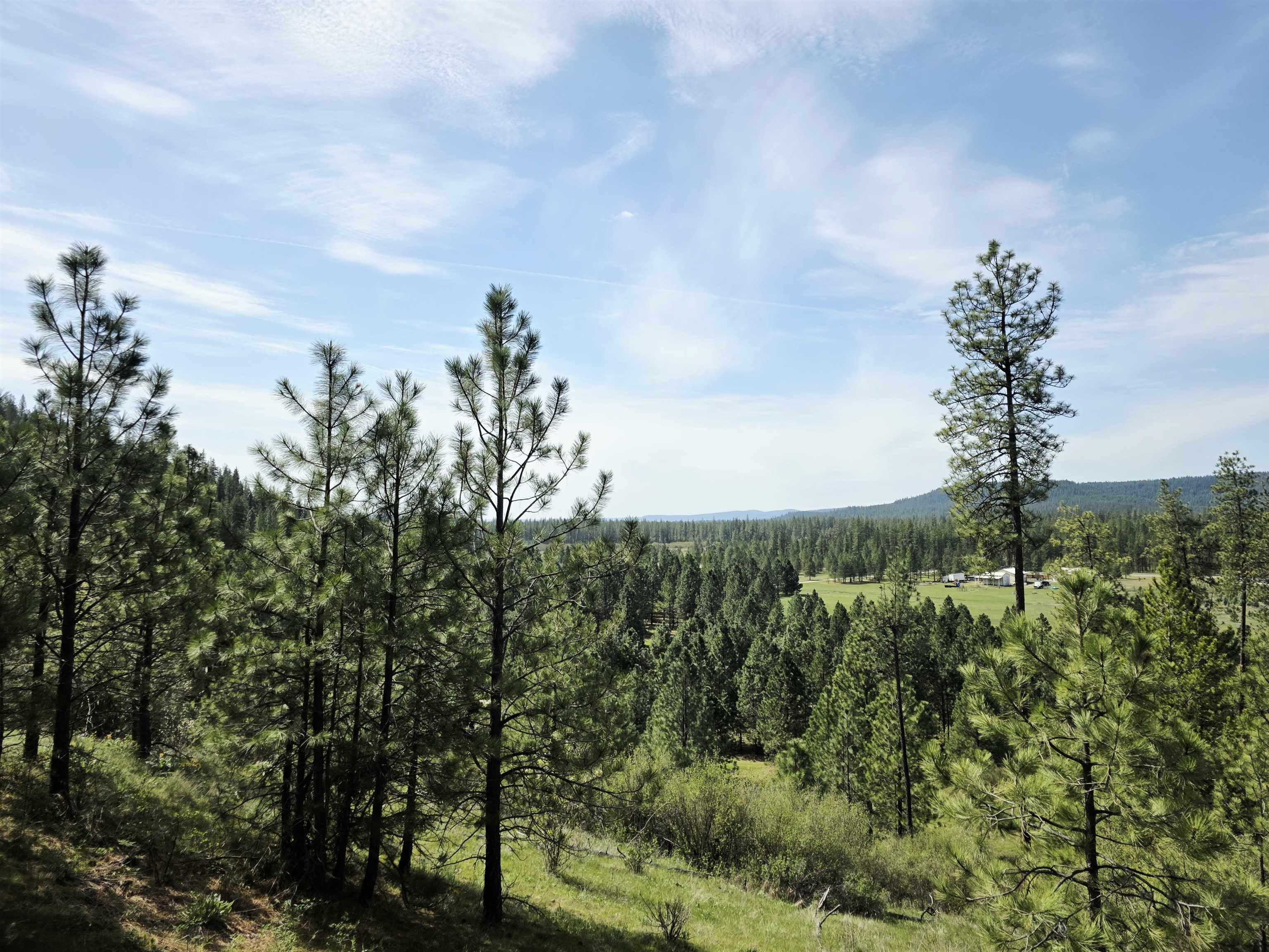 4417 D Highway 231 Springdale, WA 99173 - Photo 47 of 49