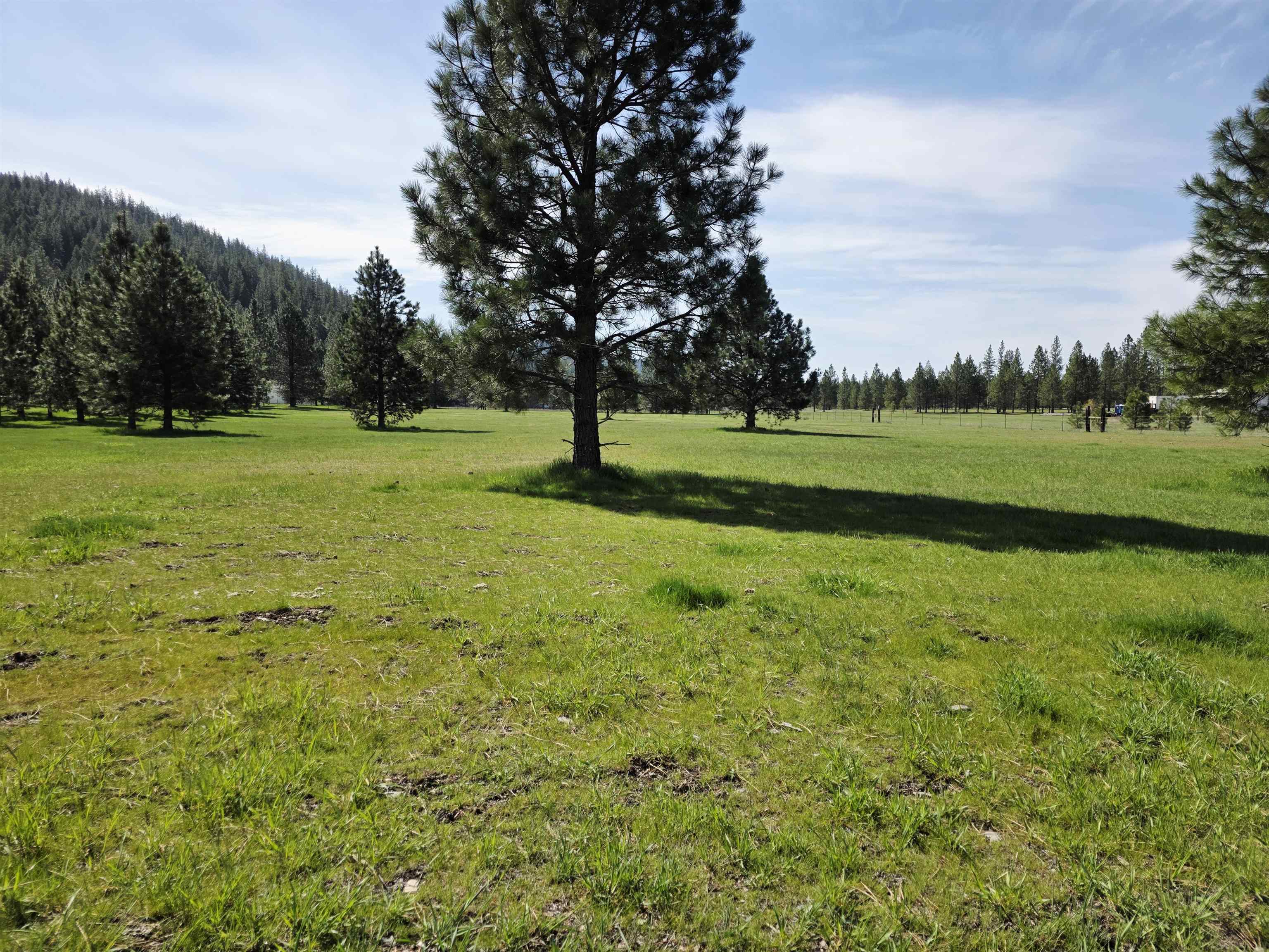 4417 D Highway 231 Springdale, WA 99173 - Photo 48 of 49