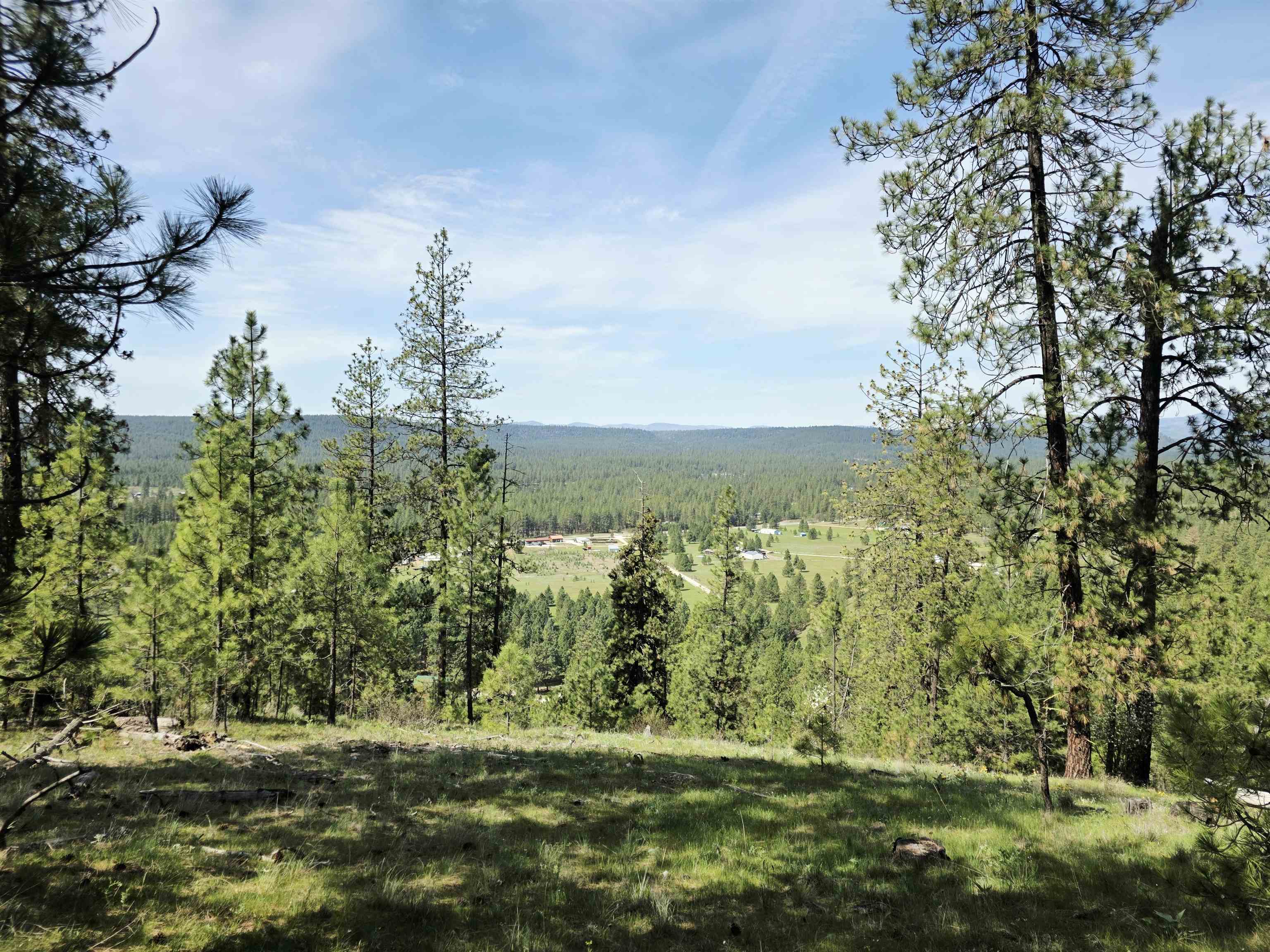 4417 D Highway 231 Springdale, WA 99173 - Photo 49 of 49